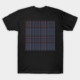 Winter Aesthetic Sorcha 2 Hand Drawn Textured Plaid Pattern T-Shirt